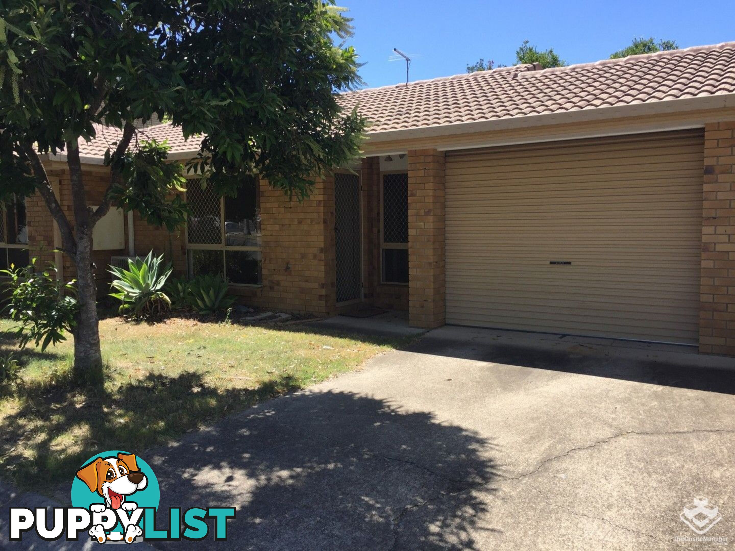 ID:21155032 30 Glenefer Street Runcorn QLD 4113