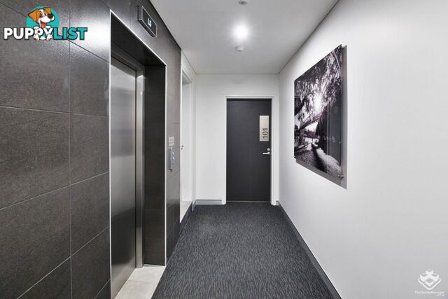 ID:21157615 28 Wharf Street Kangaroo Point QLD 4169