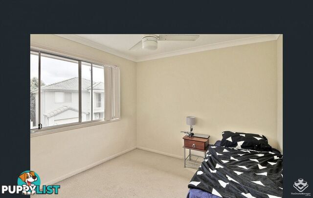 ID:21153419 18 Mornington Court Calamvale QLD 4116