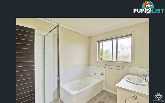 ID:21153419 18 Mornington Court Calamvale QLD 4116