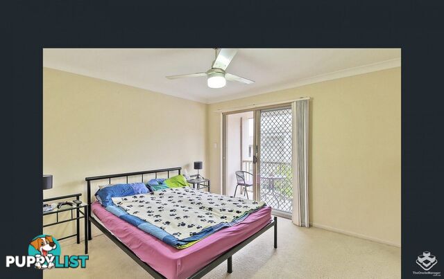 ID:21153419 18 Mornington Court Calamvale QLD 4116