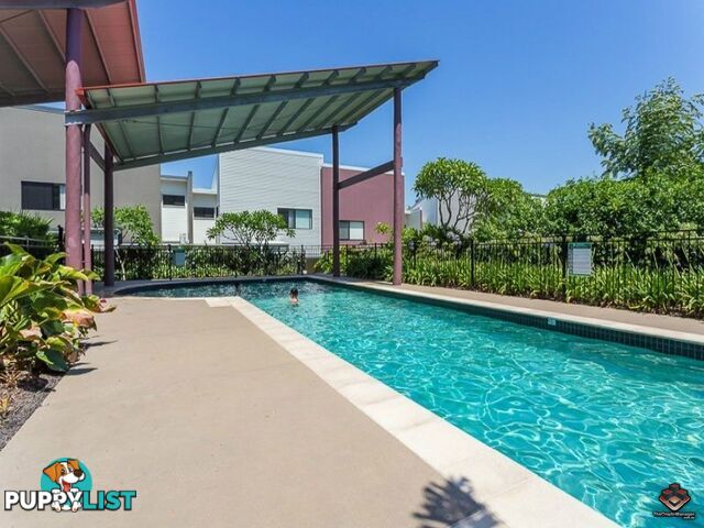 ID:3861867/35 Hamilton Road Moorooka QLD 4105