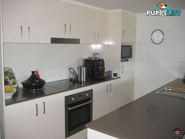 ID:3861867/35 Hamilton Road Moorooka QLD 4105