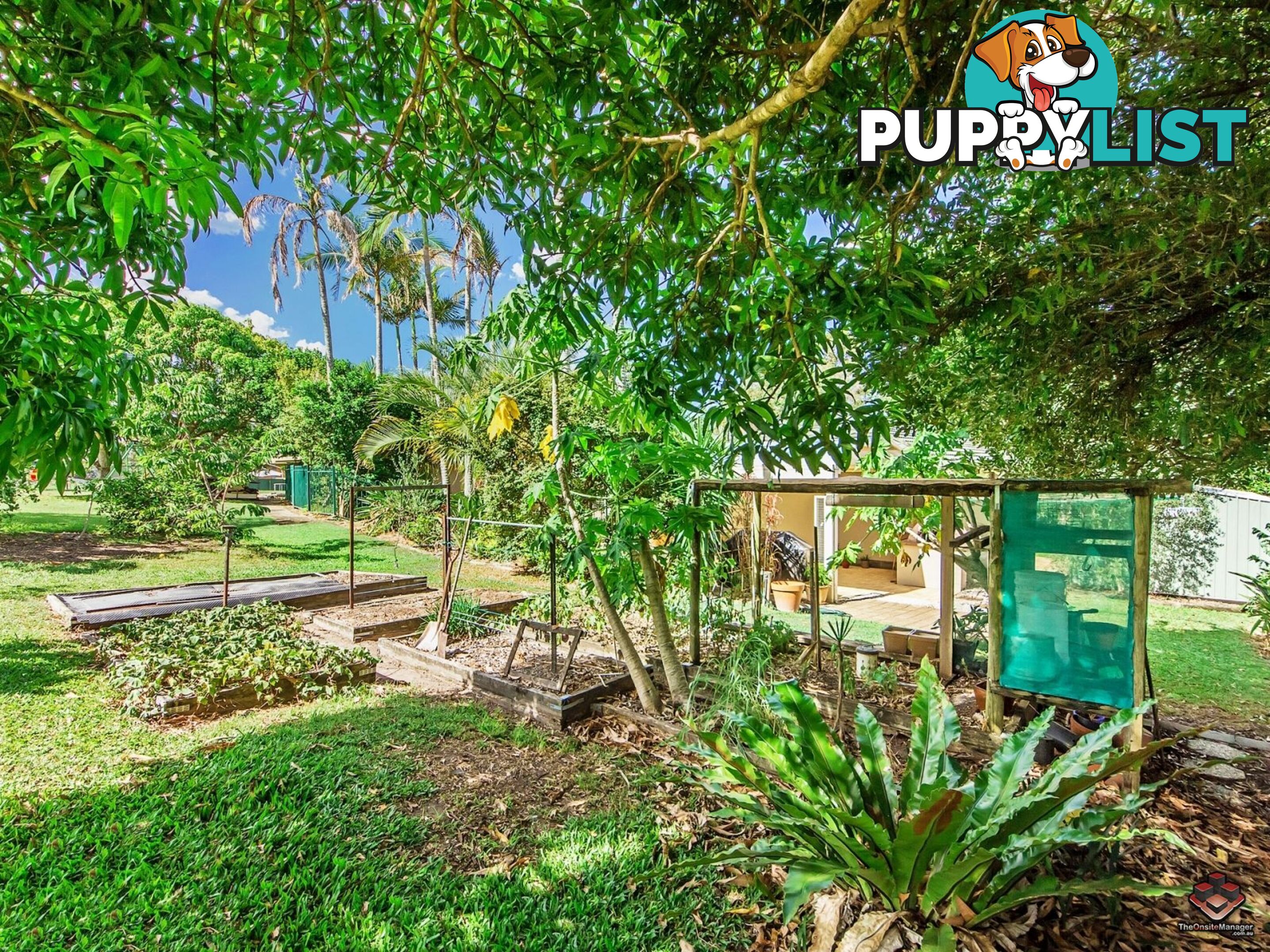 43 Riversdale Road Oxenford QLD 4210