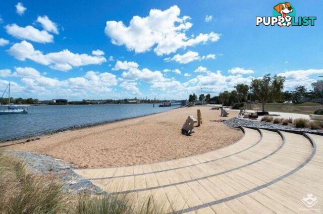 ID:21155514 320 MacArthur Avenue Hamilton QLD 4007