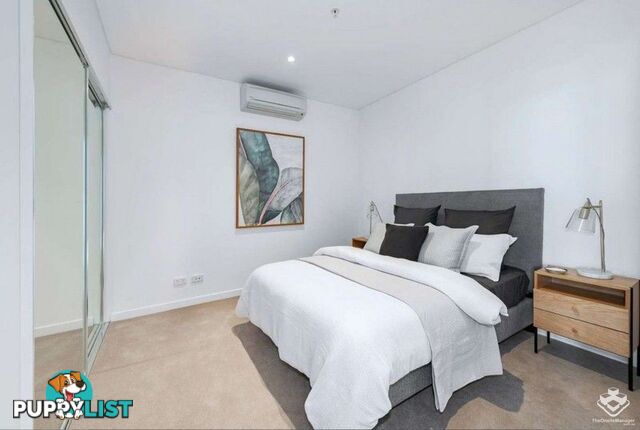 ID:21155514 320 MacArthur Avenue Hamilton QLD 4007