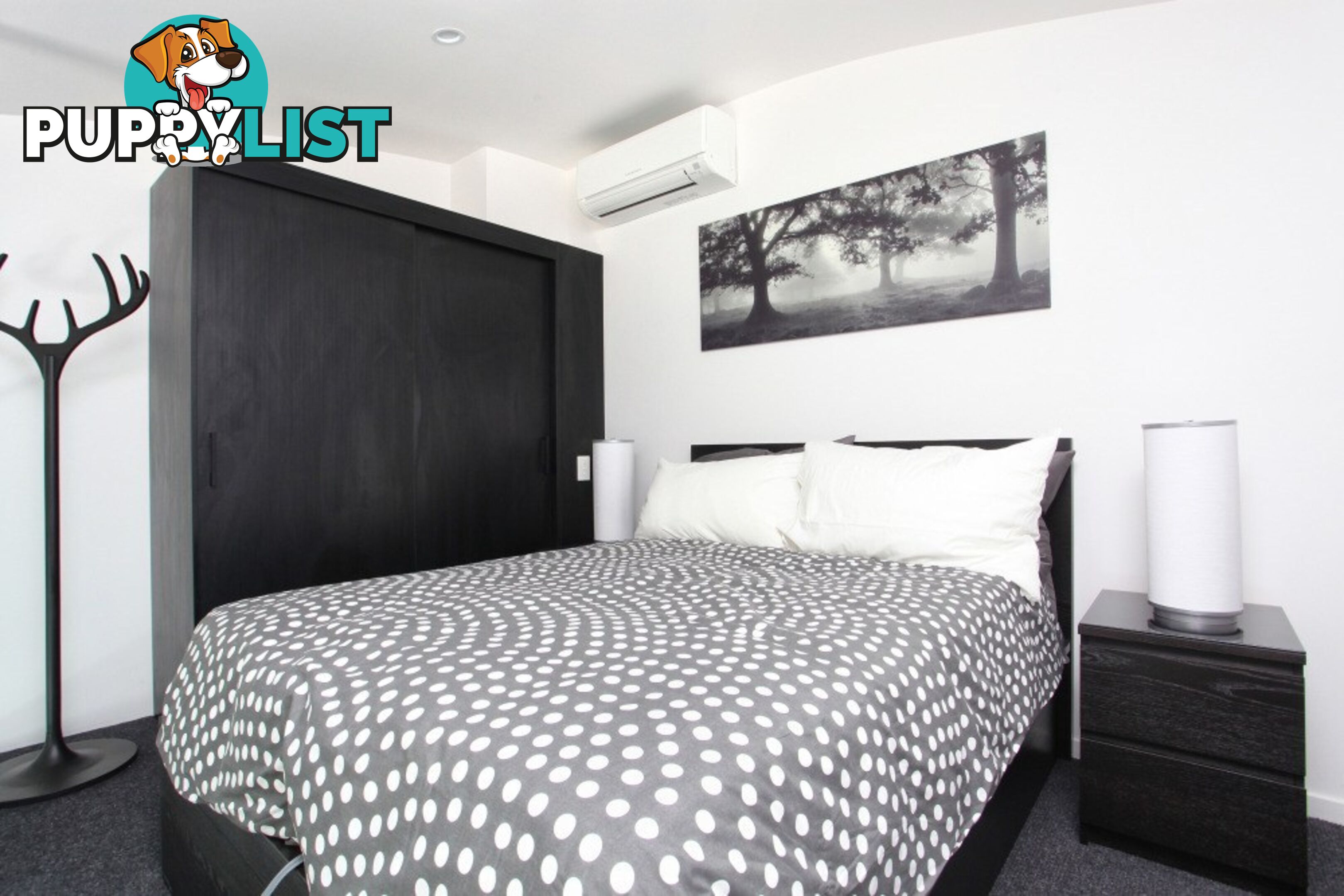ID:21150050 344 Sandgate Road Albion QLD 4010