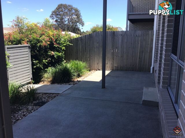 ID:3898514/84 Clearwater Street Bethania QLD 4205