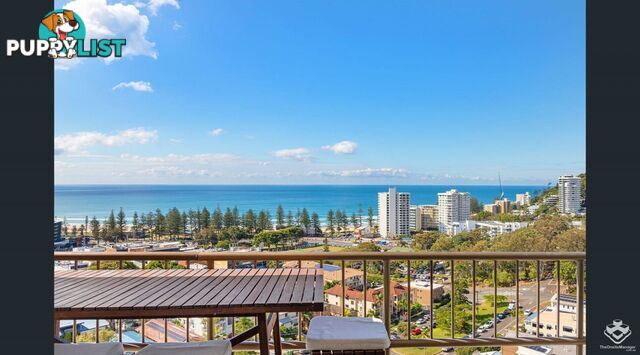 ID:21143149/29 Hill Avenue Burleigh Heads QLD 4220