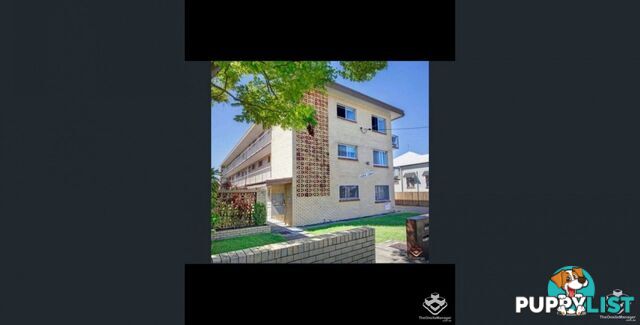 2/110 Harcourt Street New Farm QLD 4005