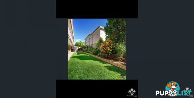 2/110 Harcourt Street New Farm QLD 4005