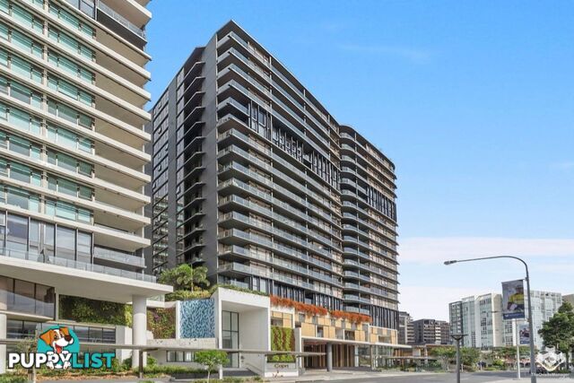 305/1033 Ann Street Newstead QLD 4006