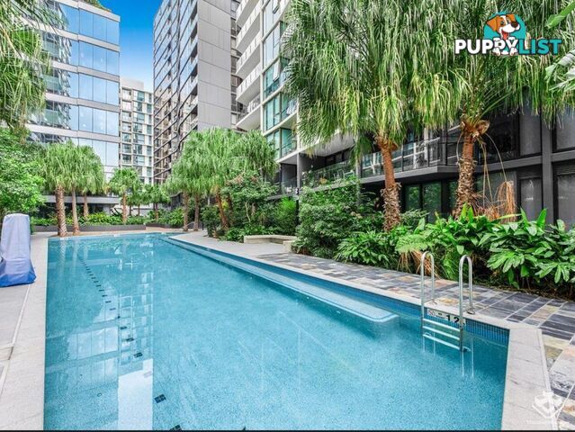 305/1033 Ann Street Newstead QLD 4006