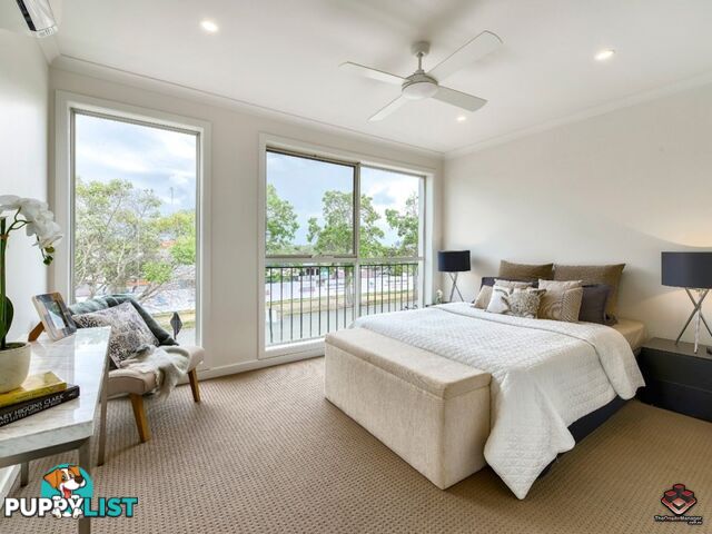 ID:21089389 25 The Corso North Lakes QLD 4509