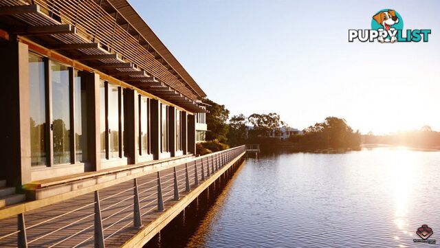 ID:21089389 25 The Corso North Lakes QLD 4509