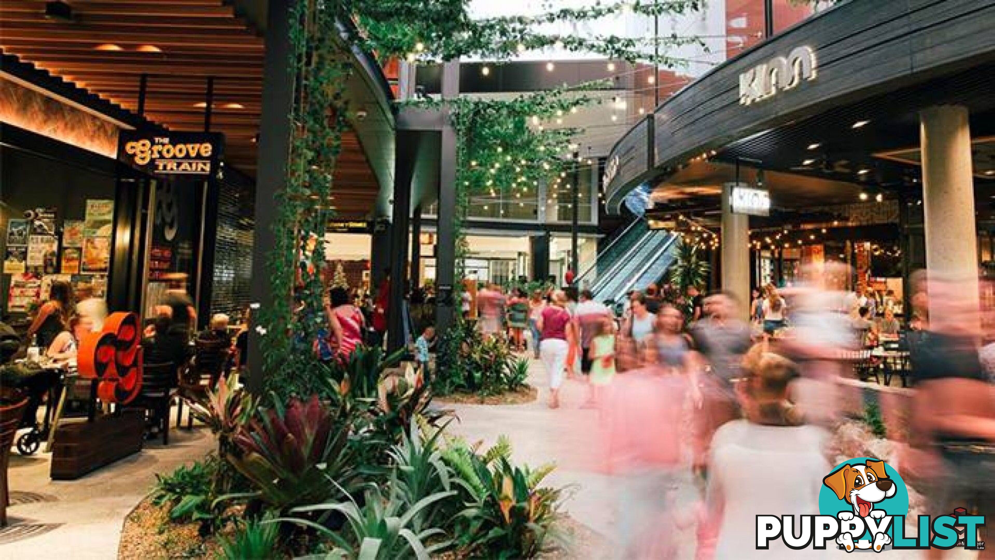 ID:21089389 25 The Corso North Lakes QLD 4509