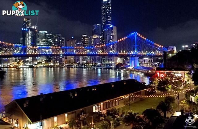 410/20 Malt Street Fortitude Valley QLD 4006