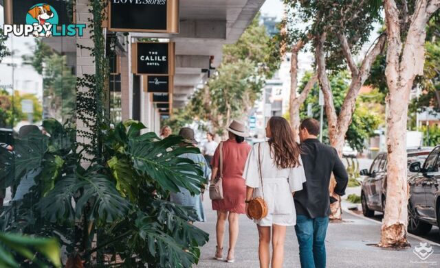 410/20 Malt Street Fortitude Valley QLD 4006