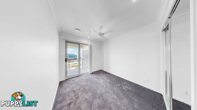 ID:21156575 35 Mark Dillon Circuit Spring Mountain QLD 4300