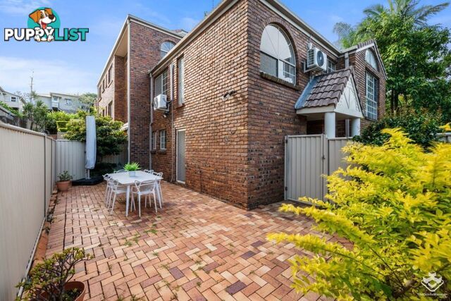 ID:21154795 6 Shirley Street Indooroopilly QLD 4068