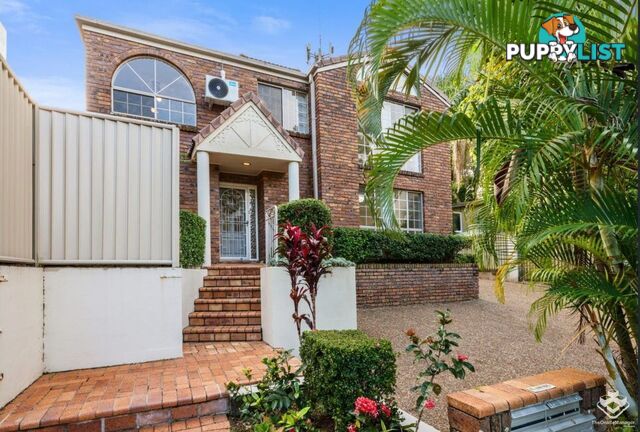 ID:21154795 6 Shirley Street Indooroopilly QLD 4068