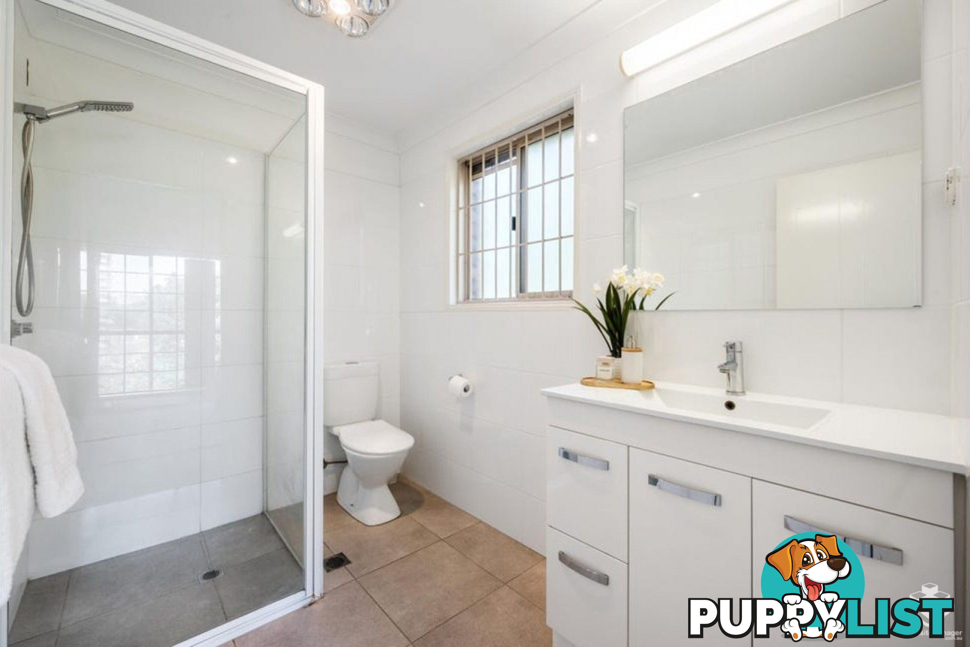 ID:21154795 6 Shirley Street Indooroopilly QLD 4068