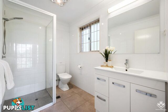 ID:21154795 6 Shirley Street Indooroopilly QLD 4068
