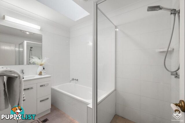 ID:21154795 6 Shirley Street Indooroopilly QLD 4068