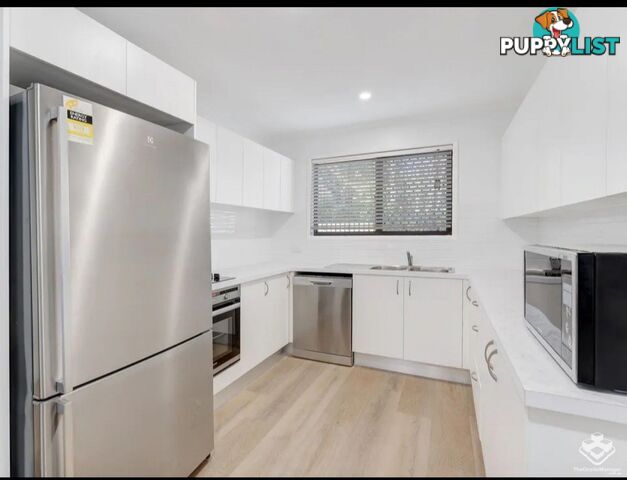 16/4 Amie Court Springwood QLD 4127