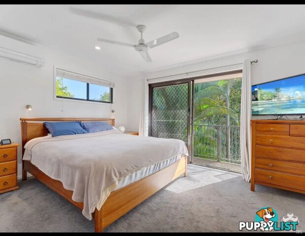16/4 Amie Court Springwood QLD 4127