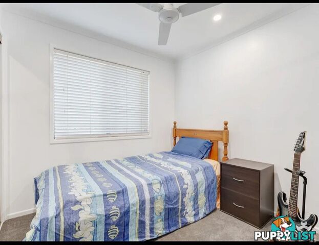 16/4 Amie Court Springwood QLD 4127