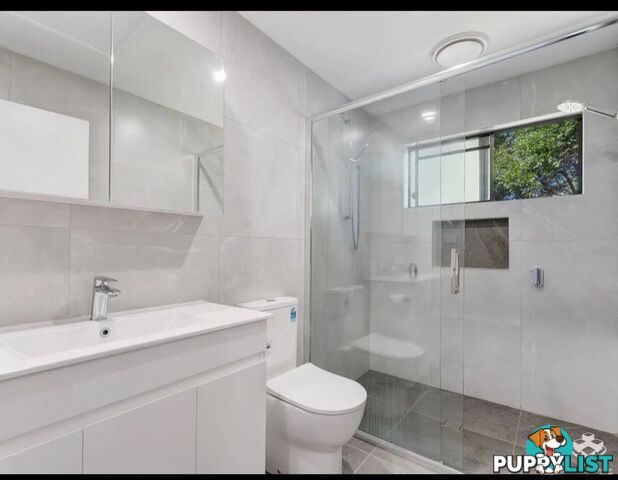 16/4 Amie Court Springwood QLD 4127