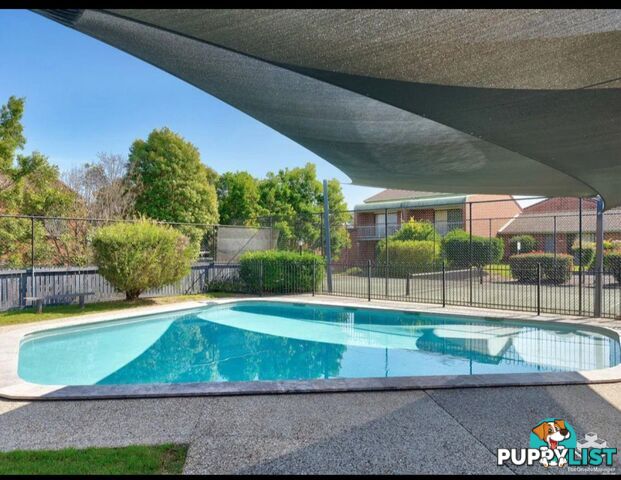 16/4 Amie Court Springwood QLD 4127