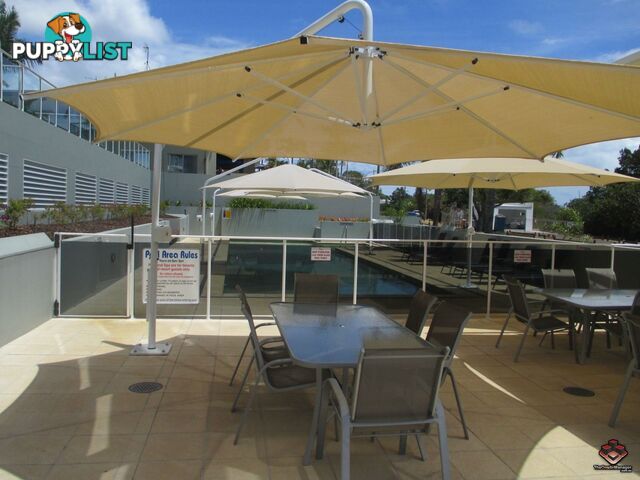 241 Charlton Esplanade Pialba QLD 4655