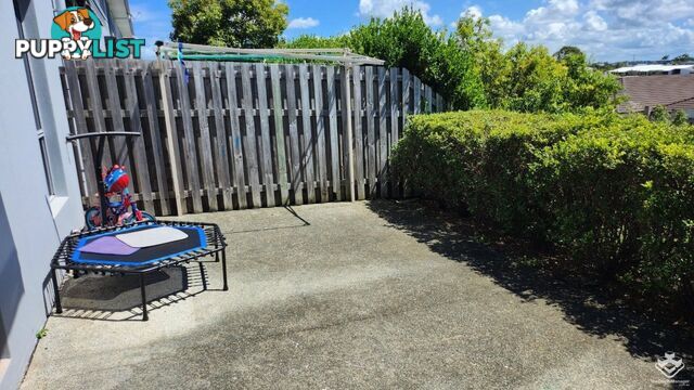 37/51 Lavender Drive Griffin QLD 4503