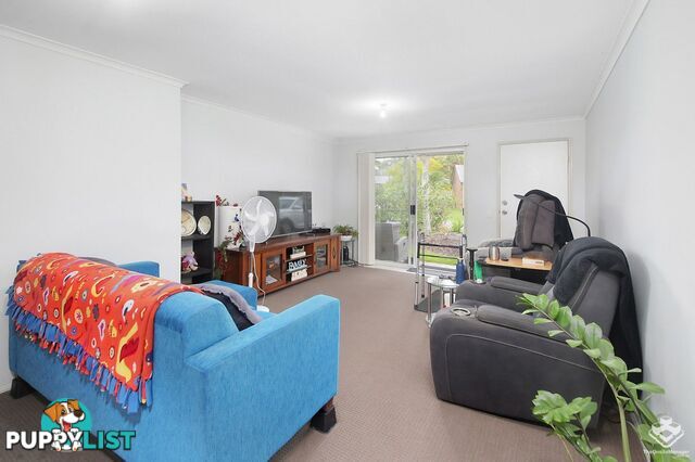 ID:21150768 19 Michigan Drive Oxenford QLD 4210