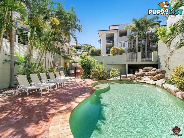 ID:3886992/159-163 Sydney Street New Farm QLD 4005