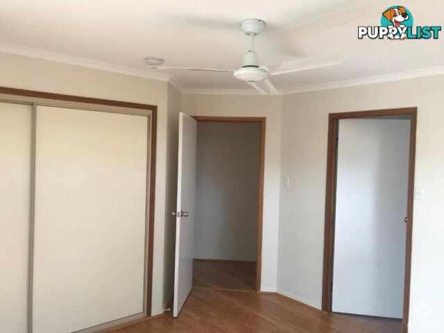 Point Vernon QLD 4655