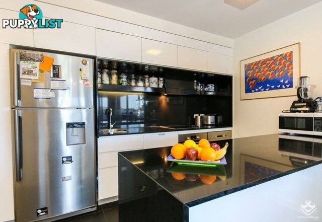 ID:21152228 8 Jeays Street Bowen Hills QLD 4006