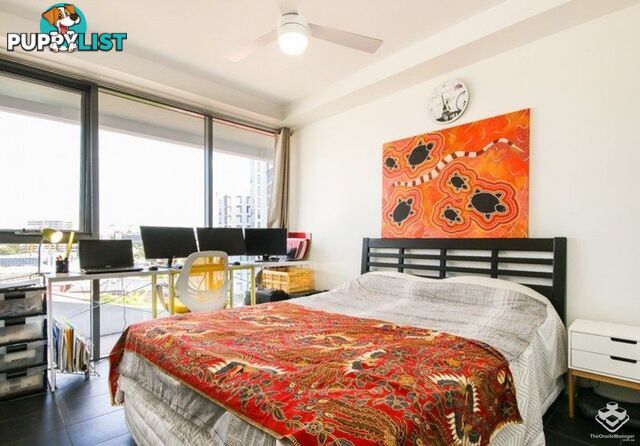 ID:21152228 8 Jeays Street Bowen Hills QLD 4006