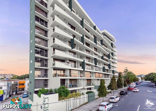 ID:21152228 8 Jeays Street Bowen Hills QLD 4006