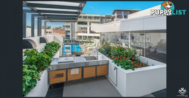 ID:21152228 8 Jeays Street Bowen Hills QLD 4006