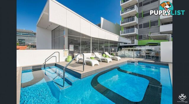 ID:21152228 8 Jeays Street Bowen Hills QLD 4006