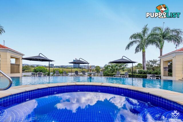 Robina QLD 4226
