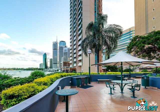 1B / 35 Howard Street Brisbane City QLD 4000