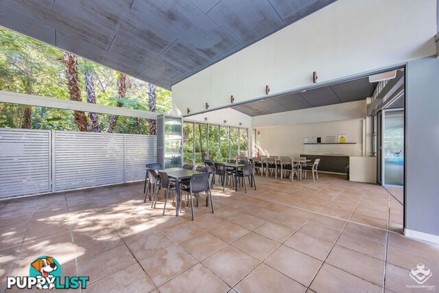 ID:21154148 154 Musgrave Avenue Southport QLD 4215
