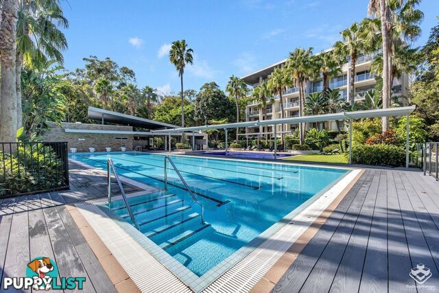 ID:21154148 154 Musgrave Avenue Southport QLD 4215