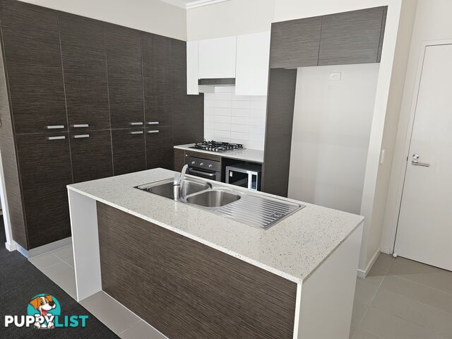 ID:21154148 154 Musgrave Avenue Southport QLD 4215