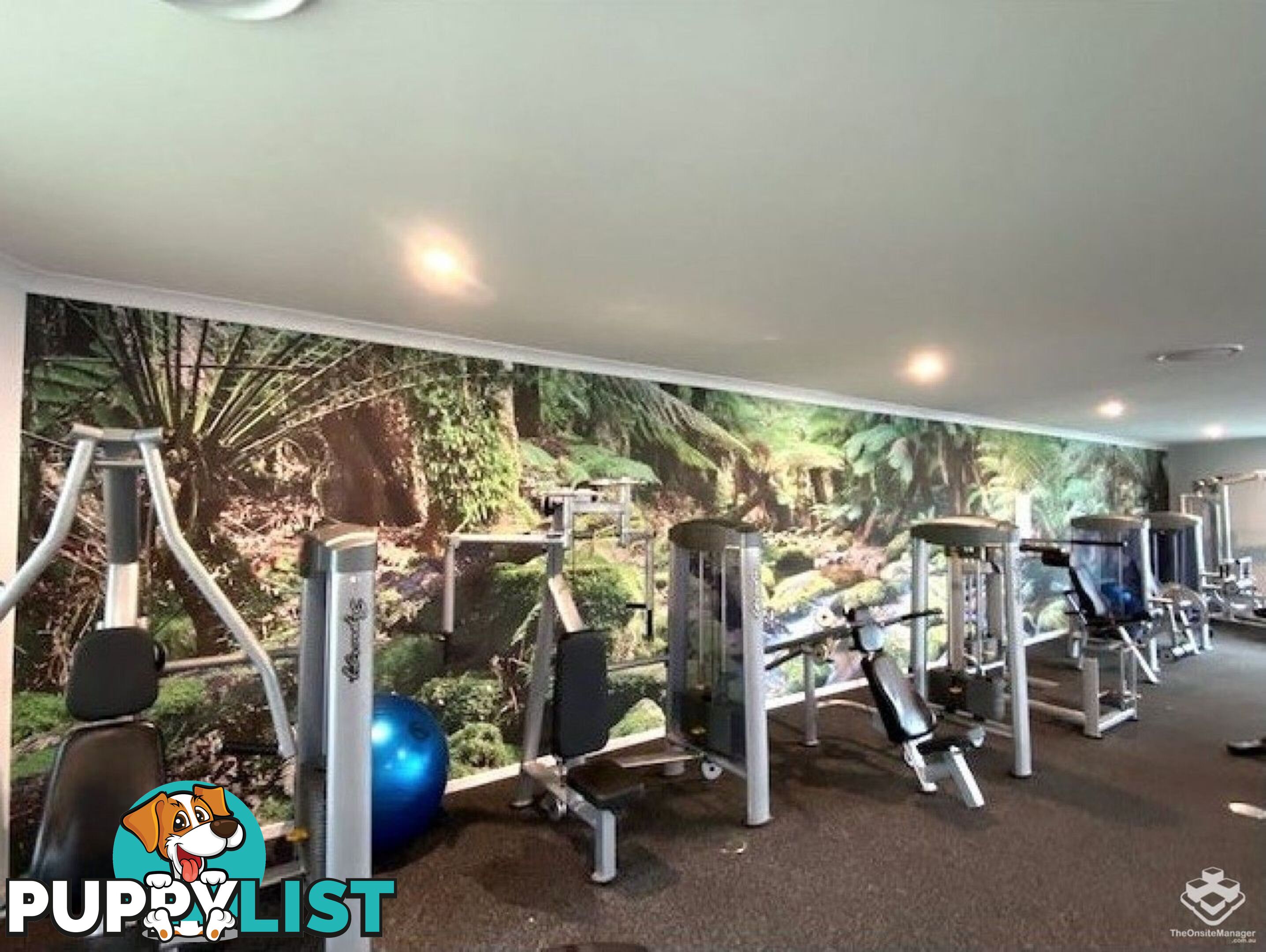 ID:21154148 154 Musgrave Avenue Southport QLD 4215