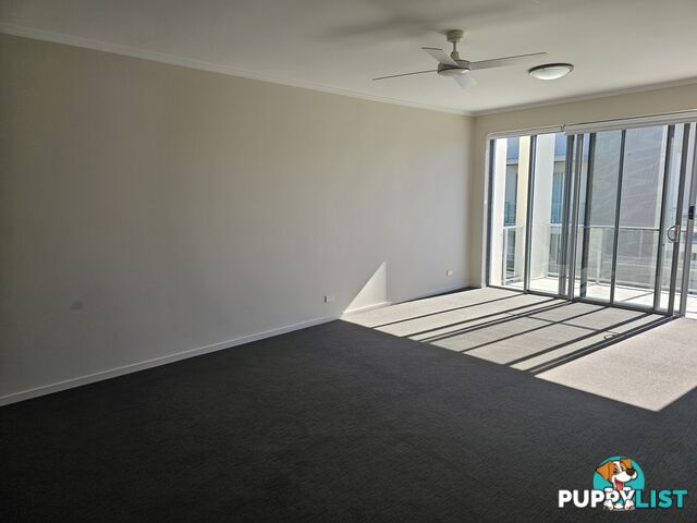 ID:21154148 154 Musgrave Avenue Southport QLD 4215